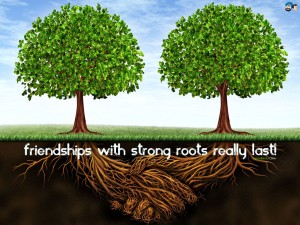 friendship-56v