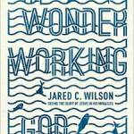 Wonder Working God