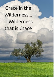 Grace in the Wilderness.......Wilderness